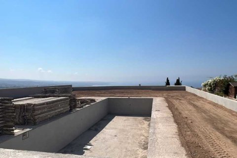 Вилла с 4 спальнями в Пейя, Кипр №63455 6