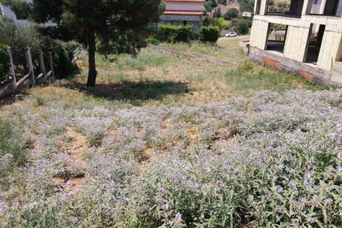 750m² Land in Panorama, Greece No. 55920 6