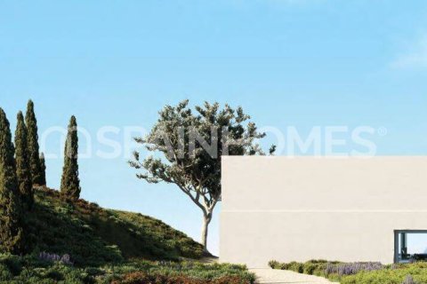 10724m² Land in Kien Thanh, Vietnam No. 88392 6