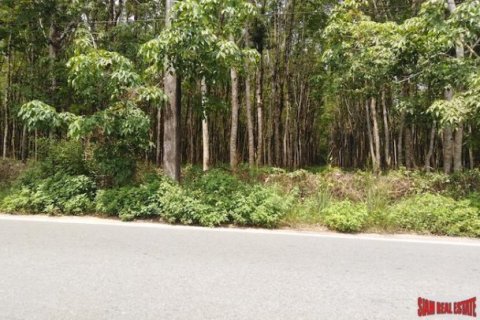 153600m² Land in Phang Nga, Thailand No. 95980 2