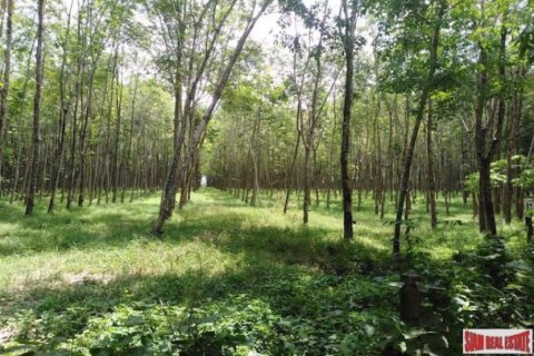 153600m² Land in Phang Nga, Thailand No. 95980 4