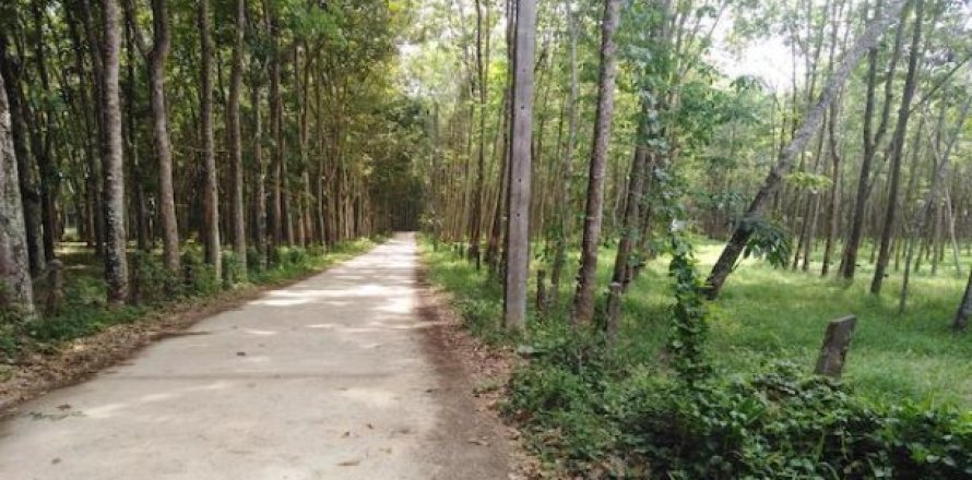 153600m² Land in Phang Nga, Thailand No. 95980