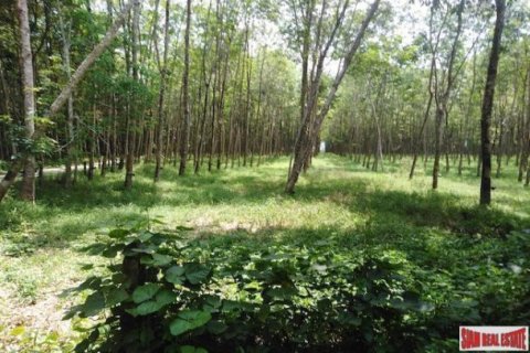 153600m² Land in Phang Nga, Thailand No. 95980 5