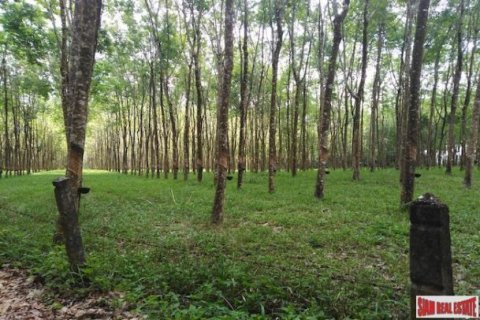153600m² Land in Phang Nga, Thailand No. 95980 3