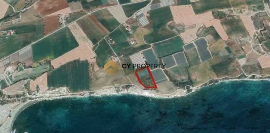 Commercial property in Mazotos, Cyprus No. 44182