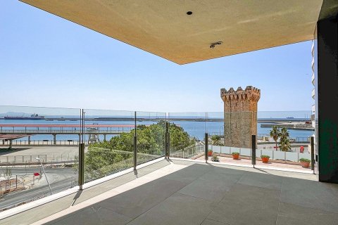 3 bedrooms Apartment on the Mallorca, Spain No. 117165