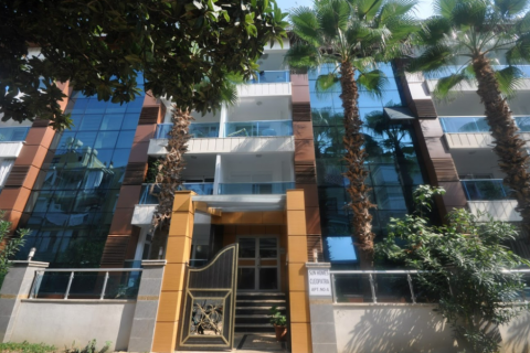 3 rooms Apartment in Chau Lang, Vietnam No. 21475 23