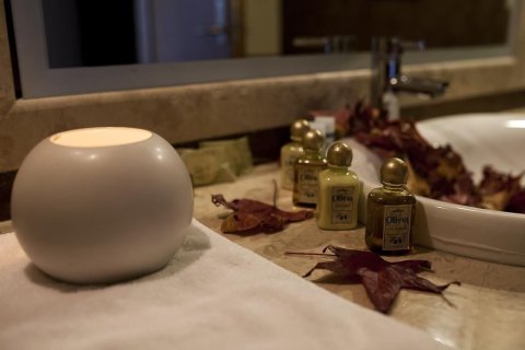 Отель, гостиница 4500м² в Флорина, Греция №107923 11