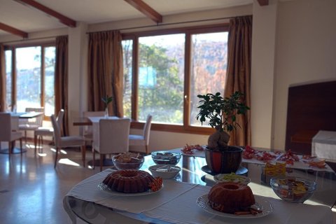 Отель, гостиница 4500м² в Флорина, Греция №107923 3