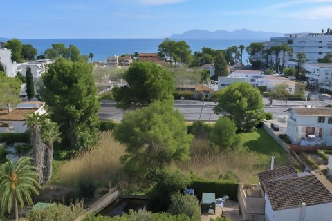 Land on the Mallorca, Spain No. 117146