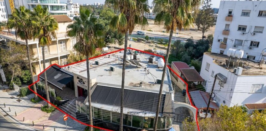 242m² Commercial property à Nicosia, Cyprus No. 105061