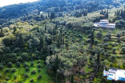 7000m² Land in Corfu, Greece No. 117803 14