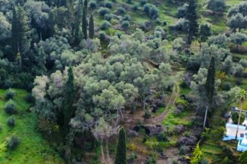 7000m² Land in Corfu, Greece No. 117803 7