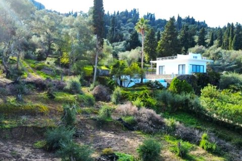7000m² Land in Corfu, Greece No. 117803 12