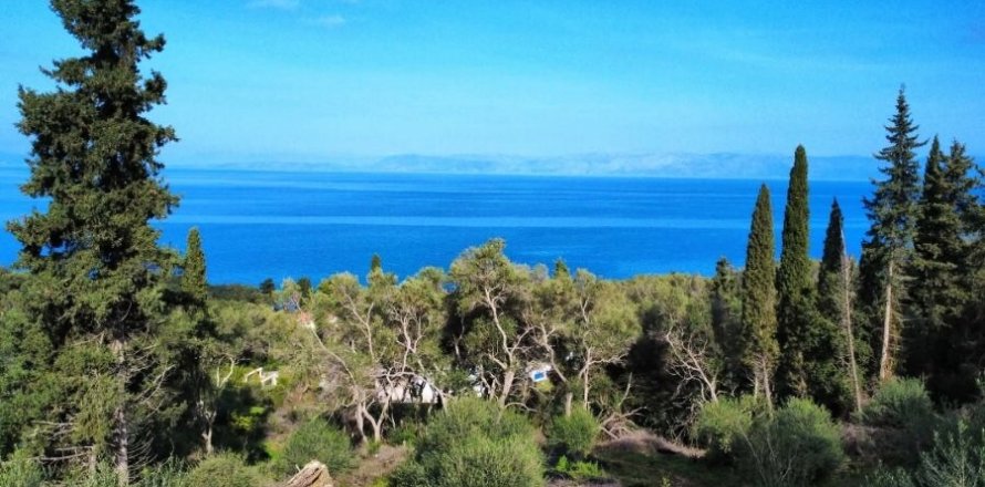 7000m² Land in Corfu, Greece No. 117803