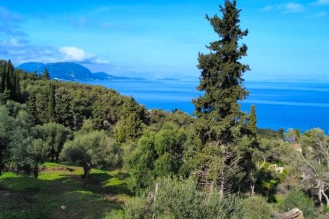 7000m² Land in Corfu, Greece No. 117803 6
