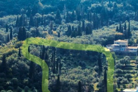 7000m² Land in Corfu, Greece No. 117803 16
