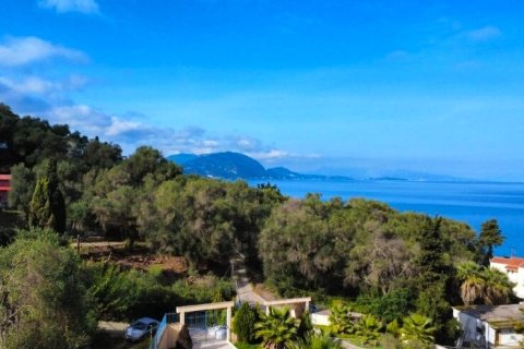 7000m² Land in Corfu, Greece No. 117803 10