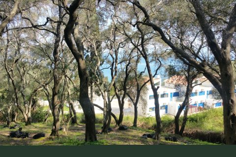 7000m² Land in Corfu, Greece No. 117803 2