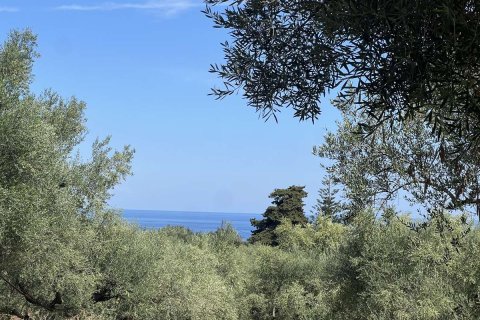 Land in Zakynthos, Greece No. 69583 10