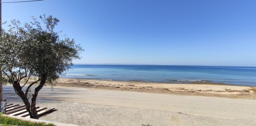 70m² Affaires à Chalkidiki, Greece No. 56626