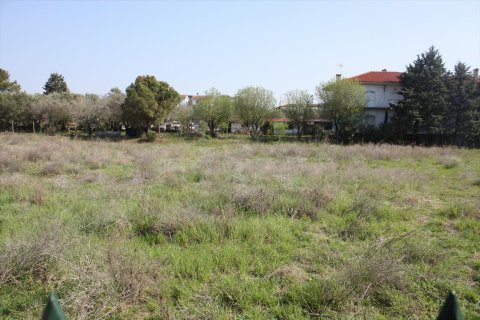 3000m² Land in Thessaloniki, Greece No. 109663 7