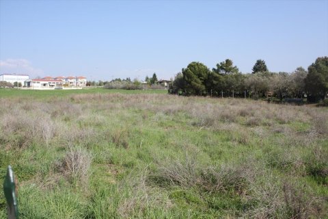 3000m² Land in Thessaloniki, Greece No. 109663 6