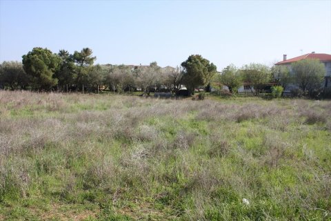 3000m² Land in Thessaloniki, Greece No. 109663 10