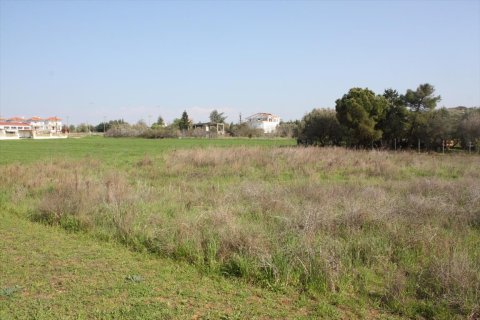 3000m² Land in Thessaloniki, Greece No. 109663 2