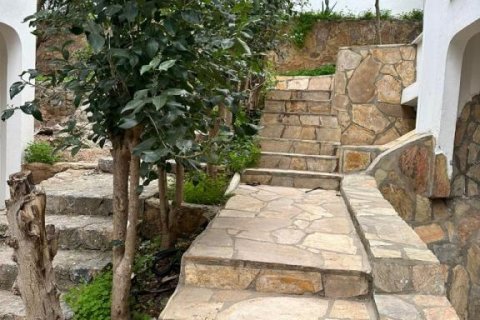 3 rooms Apartment in Chau Lang, Vietnam No. 21464 5