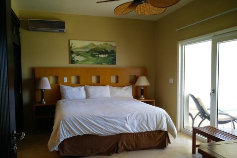 2 bedrooms Villa in Frigate Bay, Saint Kitts and Nevis No. 61555 6