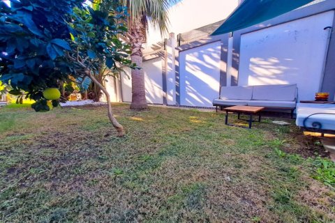 5 rooms Apartment in Tri Phuong, Vietnam No. 21170 28