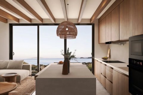 Вилла с 4 спальнями в Халкидики, Греция №124292 6