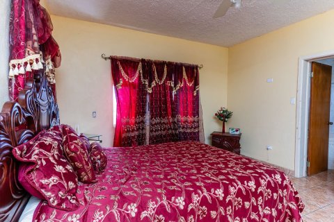 232.26m² Villa in Saint Peter's, Saint Kitts and Nevis No. 61462 12