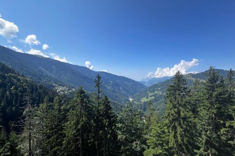 1 chambre Appartement à Crest-Voland, France No. 100183 4