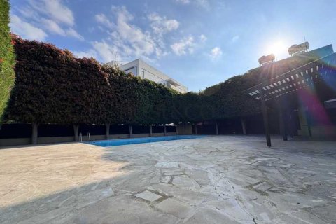 5 chambres House à Agios Georgios, Cyprus No. 100591 11