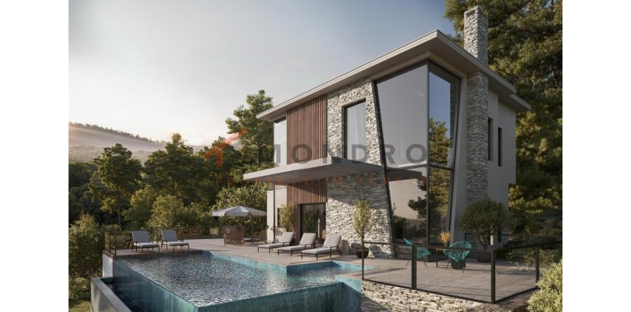 4 bedrooms Villa in Bao Thanh, Vietnam No. 115499