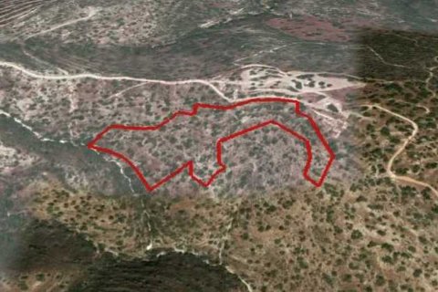 Commercial property en Akrounta, Cyprus No. 35757 1