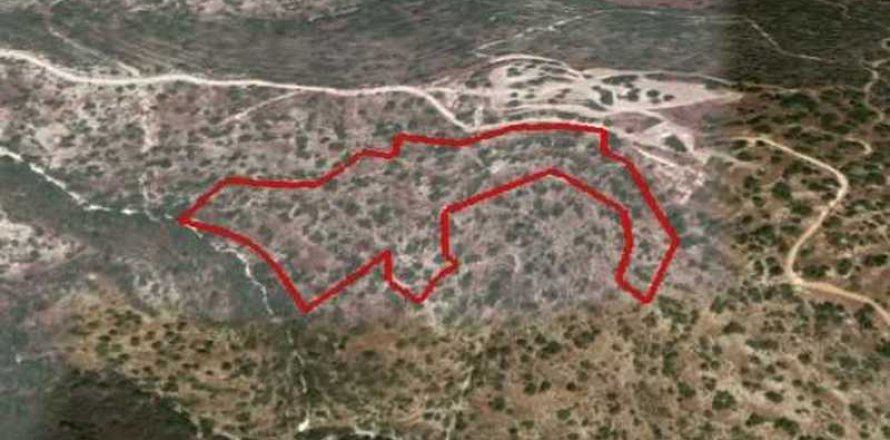 Commercial property en Akrounta, Cyprus No. 35757