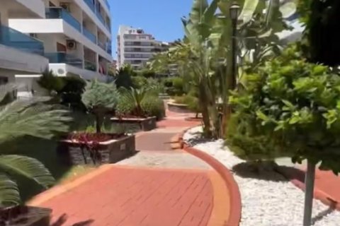 2 bedrooms Apartment in Kestel, Turkey No. 13900