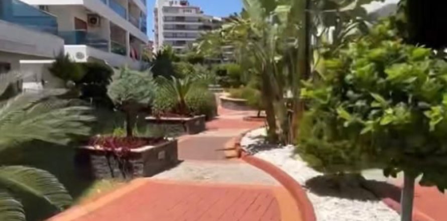 2 bedrooms Apartment in Kestel, Turkey No. 13900