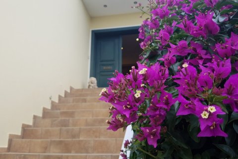 8 bedrooms Villa in Central Greece, Greece No. 49993 9