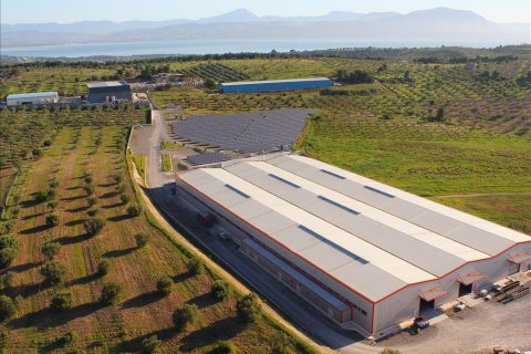 10250m² Commercial property in Boeotia, Greece No. 59343 2