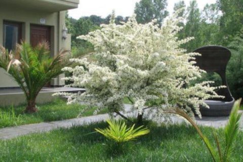 3 habitaciones Hotel en Thasos, Greece No. 109210 23