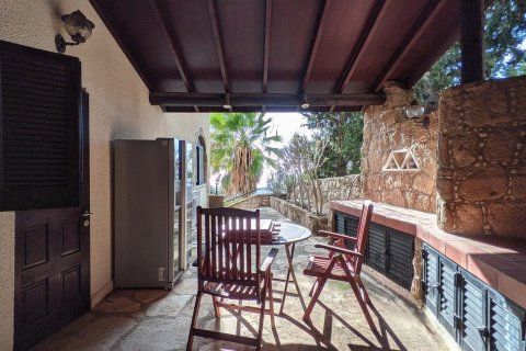 3 bedrooms Villa in Paphos, Cyprus No. 75905 26