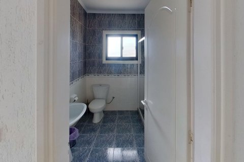 3 bedrooms Villa in Paphos, Cyprus No. 75905 27