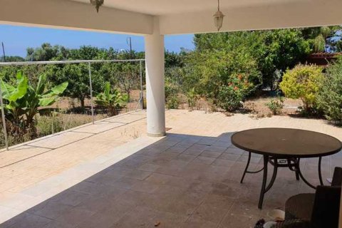 6 dormitorios House en Chloraka, Cyprus No. 83399 4