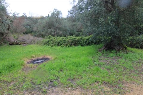 205000m² Land in Corfu, Greece No. 58216 28