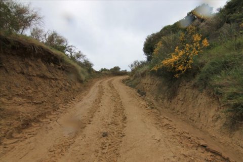 205000m² Land in Corfu, Greece No. 58216 27