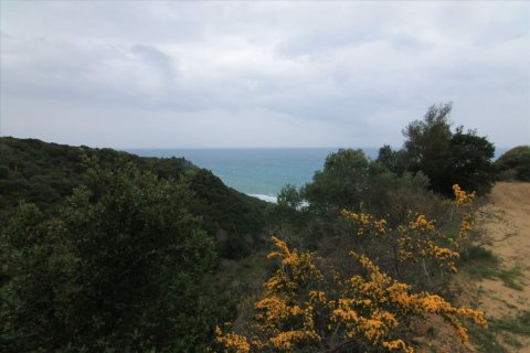 205000m² Land in Corfu, Greece No. 58216 17